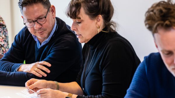 PWS-professionalisering