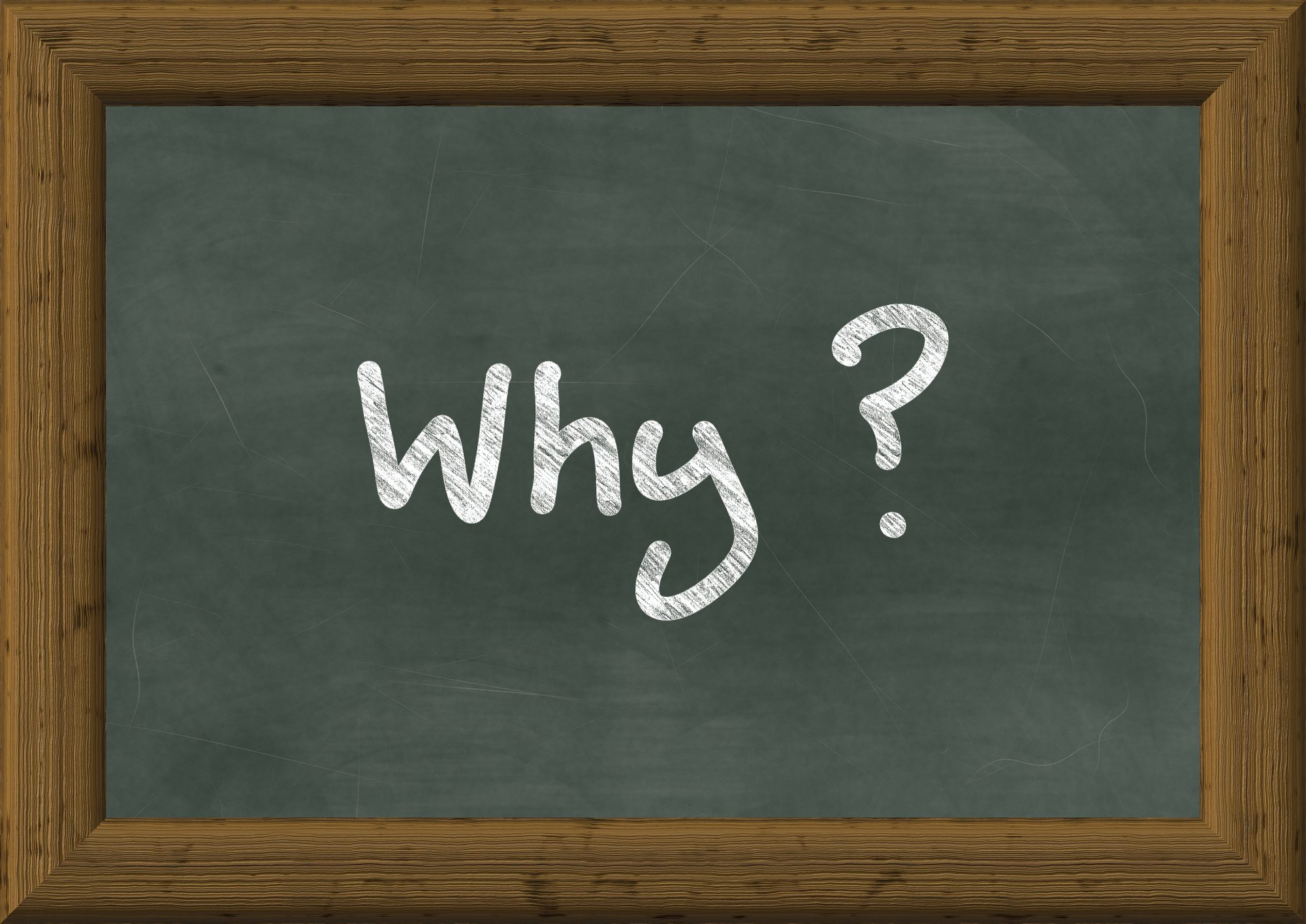 Taal in Perspectief (PLG) – Waarom zeggen we eigenlijk “uhm”?